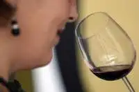 Prova de vinhos numa adega do Alentejo no Tour a Évora a partir de Lisboa, Portugal