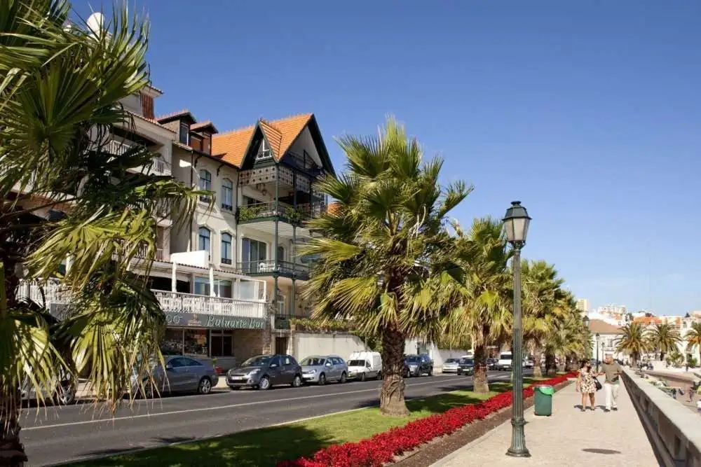 Palm trees in the bay of Cascais, Portugal