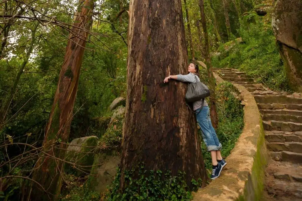 Traveler at path in the Pena Park in Sintra, Portugal